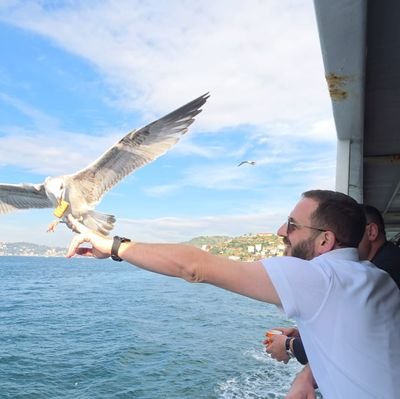 UsameMorina's profile picture. Ai që s’ka faj, s’ka pse frikësohet!