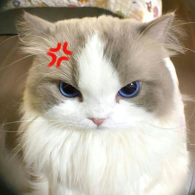 _ch1n0_0's profile picture. 