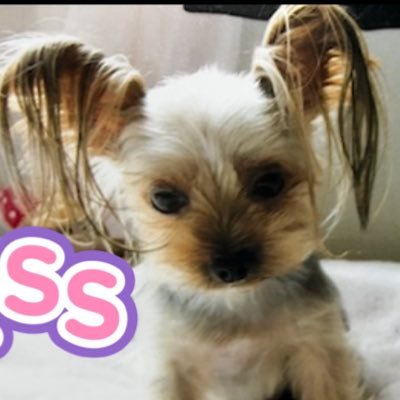 GsiphitomIN's profile picture. 🌷I'm a kindergarten teacher.