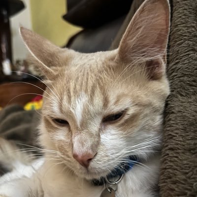 Faee478501's profile picture. 