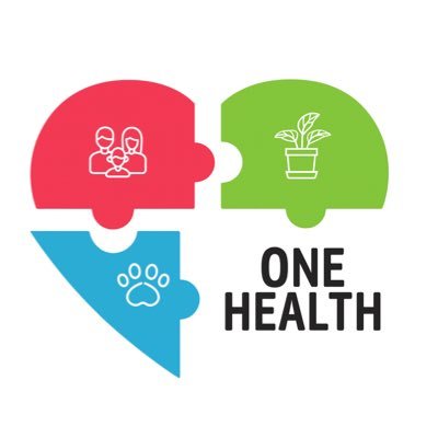 PlanSaludCLM's profile picture. Plan de Salud Castilla-La Mancha. Perfil oficial. @sescamclm. #SaludH3_0