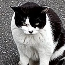 kevinm1633309's profile picture. 何故かコメント出来なくなっちゃったから新しく作りました。
近々、入院 手術します。
癌です。でも元気です☺️