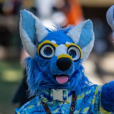 ZororeoOwO's profile picture. he/him | 26 | a furry if you couldn't tell already | coyote | 🏳️‍🌈 | TikTok: zororeowo | Telegram: Zororeo