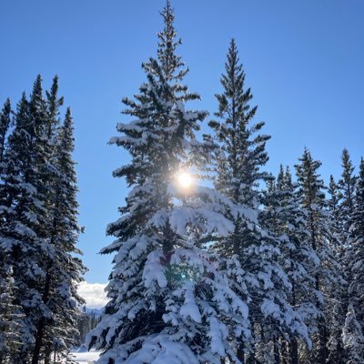 scubamelissa's profile picture. Just a Canadian fed up with government corruption