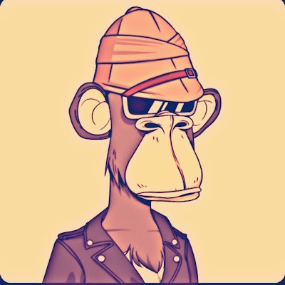 BasilCica02's profile picture. 