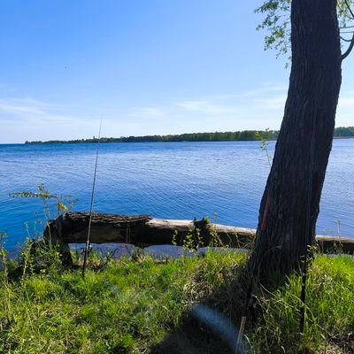 ivansz8282's profile picture. A small person in a big world 🌍👦💫