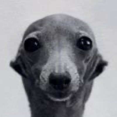 Dumidiot2025's profile picture. I goon