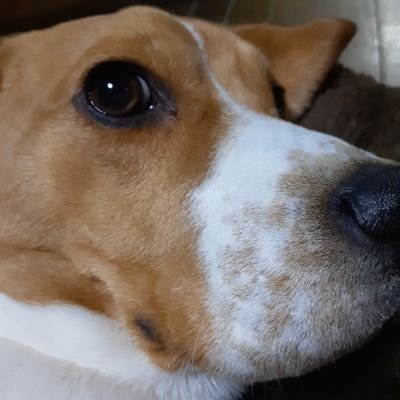 unamona35718's profile picture. 