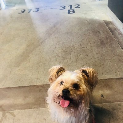 qN6xUxAAVb21326's profile picture. 野球⚾️はプロも高校野球もだいすきです 現推しはFIGHTERS⸜❤︎⸝‍ とらにぃ！阪神行ってもずっと推しです🥲 やざくん！レイちゃん！ FIGHTERSではメイン推しします(*^^*) 全力応援⚾️仲間作れたら嬉しい🐶🫶 よろしくお願いいたします🎀 ♯lovefighters ♯高校野球ファン