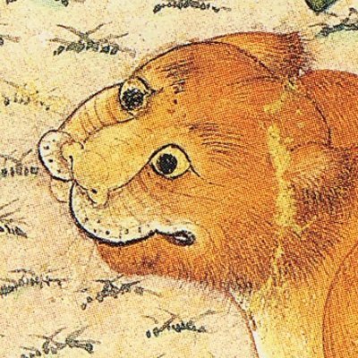 mirzayeahlerafz's profile picture. ان کان رفضا حب آل محمد/فلیشهد الثقلان انی رافضی