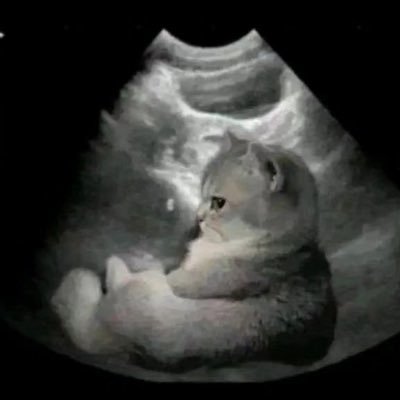 OBOEBABY's profile picture. 