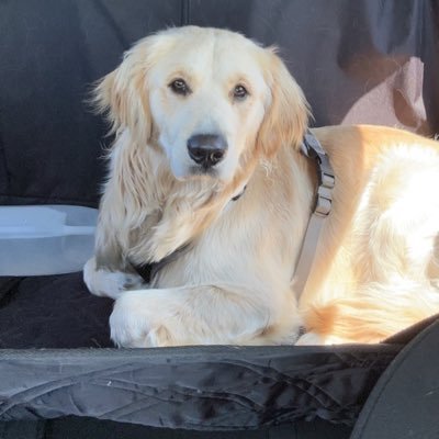 Lindsey52384781's profile picture. It’s better to make mistakes and be humble than to be flawless and arrogant. 💥NO DM’S💥 45-47- Ret. LEO. Former Homeschool educator.