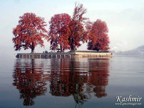 kashmir_updates's profile picture. Always more about Kashmir.. For a Better Kashmir (A Division Of Kashmir Foundation)