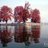 kashmir_updates's profile image