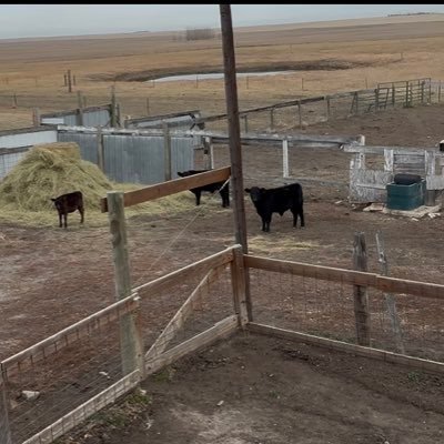 Christopher J Ator Profile