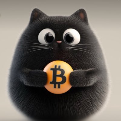 CrazyCryptCat's profile picture. Crypto Loving , easy going and friendly, cats rule 😎