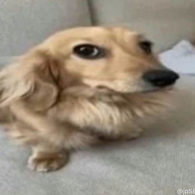 svvbill's profile picture. 