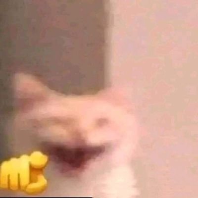 dvtrhx's profile picture. akun bingung (apapun dilakukan selain ngoding)