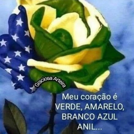 Brabrabra65's profile picture. 🇧🇷BRASIL🇧🇷
Amante de animais🐶🐺🐈🐕‍🦺🐼🐇🐴