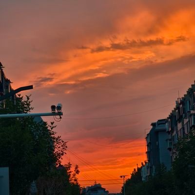 lyfi531480's profile picture. 