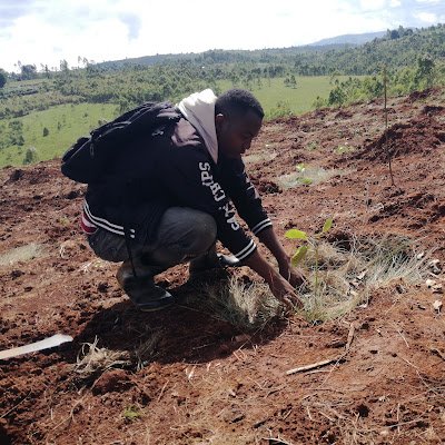 KaroreroPa8170's profile picture. 