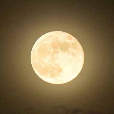 Transforml57025's profile picture. 18+ only, minors are not welcomed.