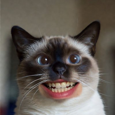 GrokGoneWrong's profile picture. 