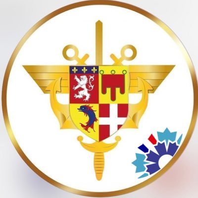 Defense_sud_est's profile picture. L'actualité de la zone Auvergne-Rhône-Alpes et du gouverneur militaire de Lyon