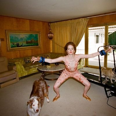 fakealphawhore's profile picture. licenciada en