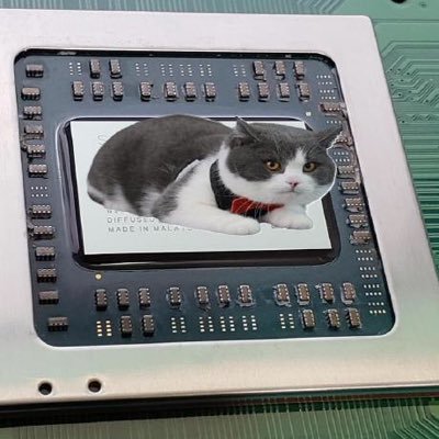 ableistSpeculum's profile picture. 18