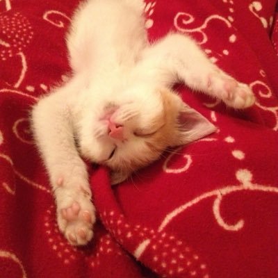 illusion119's profile picture. ein Person mit zerrissene Seele...成人30⬆️