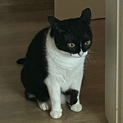 Lawesomesauce's profile picture. R U Aware? #Bitcoin - Product & Partnerships @ Bitrefill