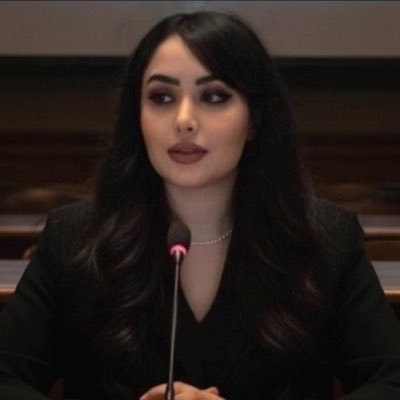 MaisAlQinawie's profile picture. A Researcher With Some Opinions.
