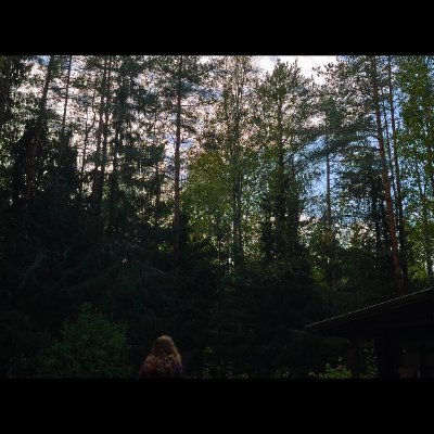 Viciluque's profile picture. 