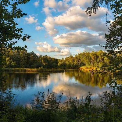 RcfhyS's profile picture. 