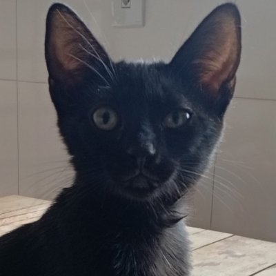 FlpGabriel30's profile picture. 