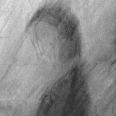 _agustoperez's profile picture. Şeytanın en büyük numarası yokluğuna inandırmasıdır