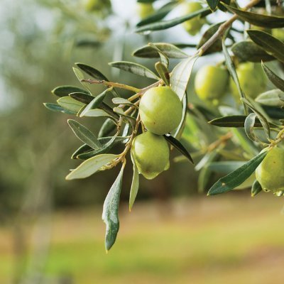 AnilBho36690019's profile picture. WhatsApp grubumuza katılmaya hoş geldiniz, birlikte borsayı konuşalım.