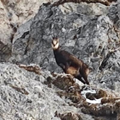 UnR35P0n51v3's profile picture. Ist der Berg auch noch so steil, a bisserl was geht allerweil.

Die Fähigkeit, das Wort "Nein" auszusprechen, ist der erste Schritt zur Freiheit.