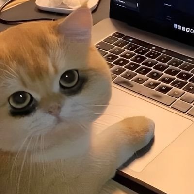 miss_banana_f's profile picture. 