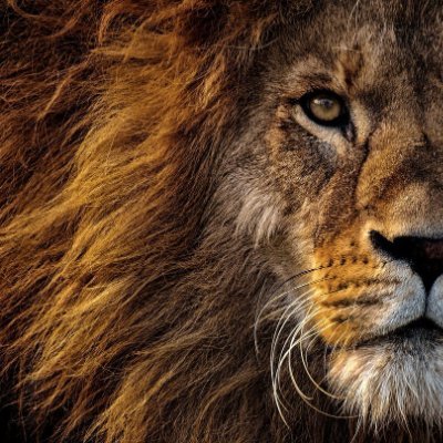 Alfalej_'s profile picture. 