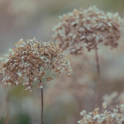 CarlosJuan98486's profile picture. 