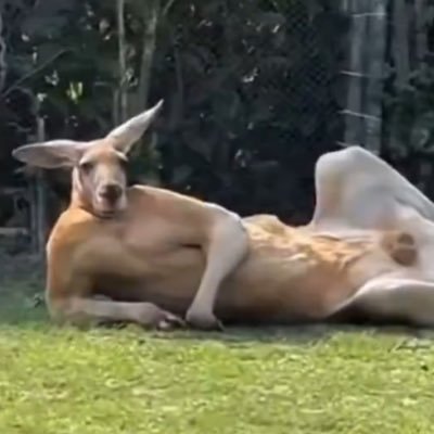 captChilaX's profile picture. @captChilax blocked you