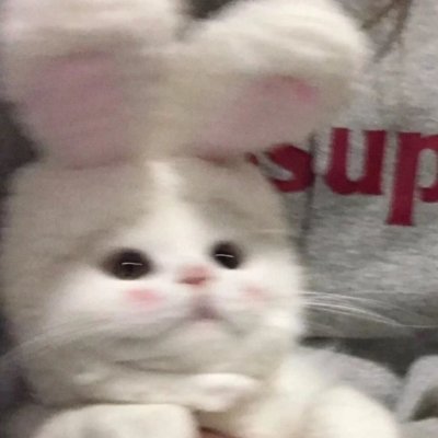 0v0_Nutcracker's profile picture. intj｜bi 0.5｜热情比格｜挚爱骨科｜殿堂级bl鉴赏家｜究极杂食写手｜年上激推
谢谢你来看我，希望你今天过得快乐
（在下精神脆弱非常玻璃心不喜欢我请直接拉黑一别两宽此生不见别骂我我会很难过QAQ｜🈲不网恋不约炮别烦我）