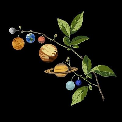 bashudevrawal's profile picture. 