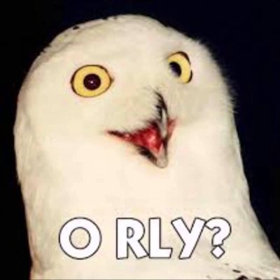 PoopThereItIs3's profile picture. 