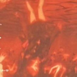 u__vwo's profile picture. 花傘