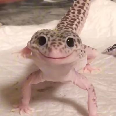 EntropyFyne's profile picture. कोकणास्थं मूळनिवासी

Here for entertainment and high IQ gossips