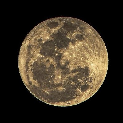 oale_barbosa's profile picture. 