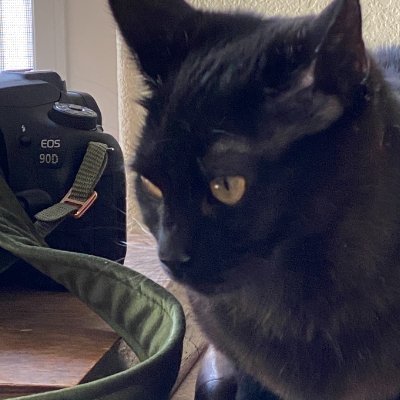 TLynnTinker59's profile picture. 